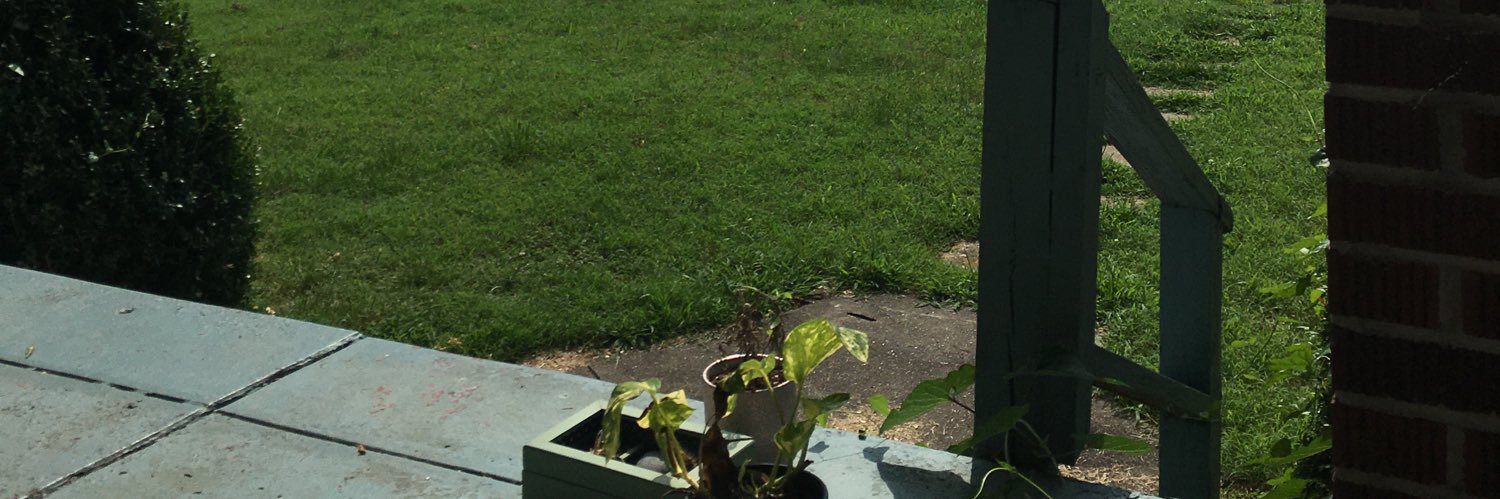 Meowtchell's profile banner image