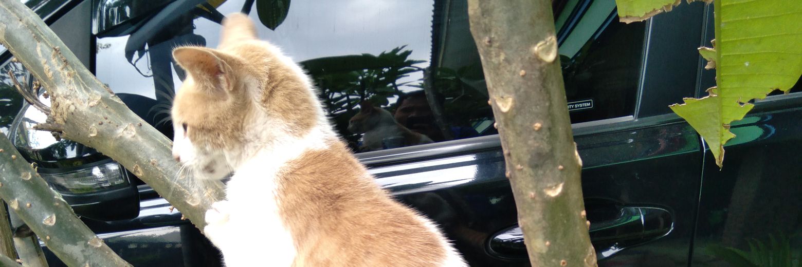 fr_ekyy's profile banner image
