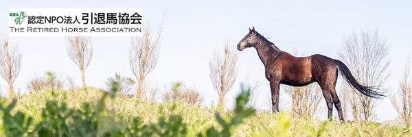 rhainfo Profile Banner