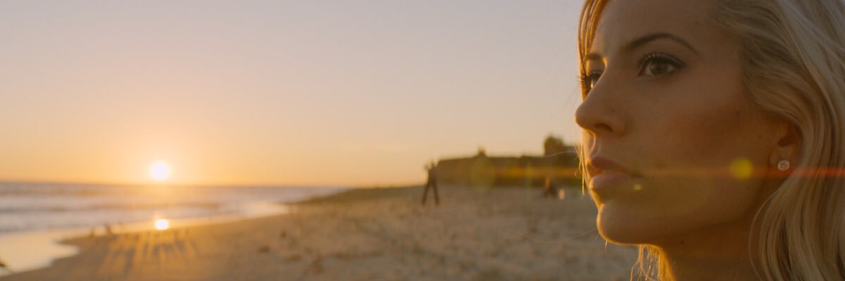 shannoncsw's profile banner image
