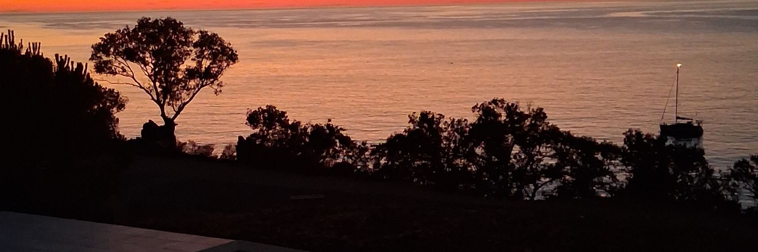 RoseDance13's profile banner image