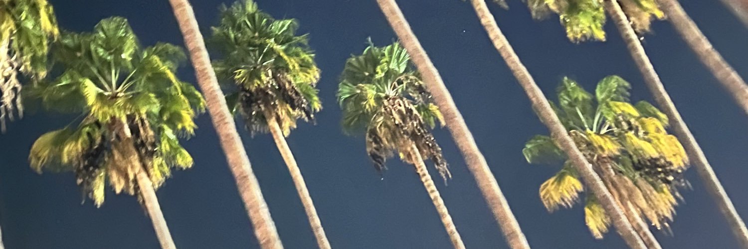 angleon81's profile banner image