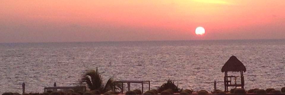 Adam_theTrainer's profile banner image