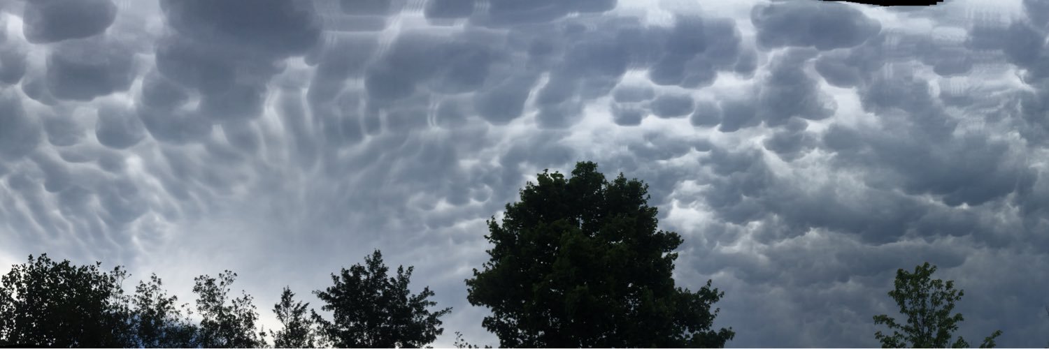 TurneRosenbaum's profile banner image