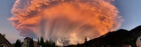 Christopher Allen banner