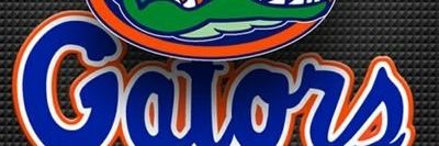 Al E. Gator banner