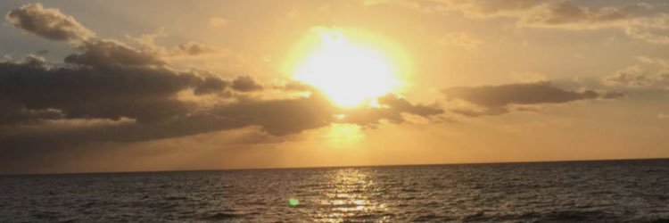 jacquelinecont9's profile banner image