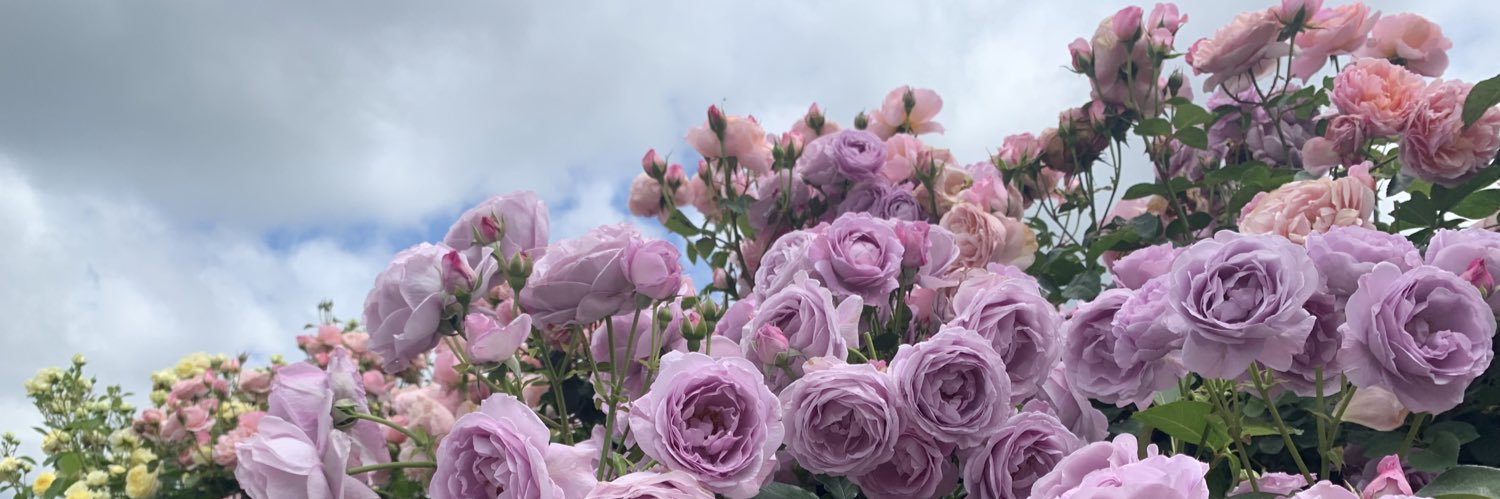 ice_creeeeeeeam's profile banner image