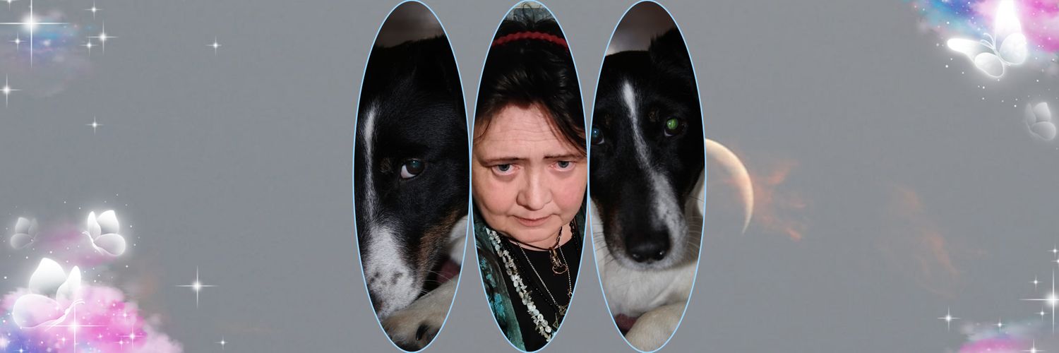 Birka Banina, Schildmaid.🗝️⚔️🗝️💙 banner