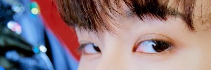 🍉💙🐯🌱 banner