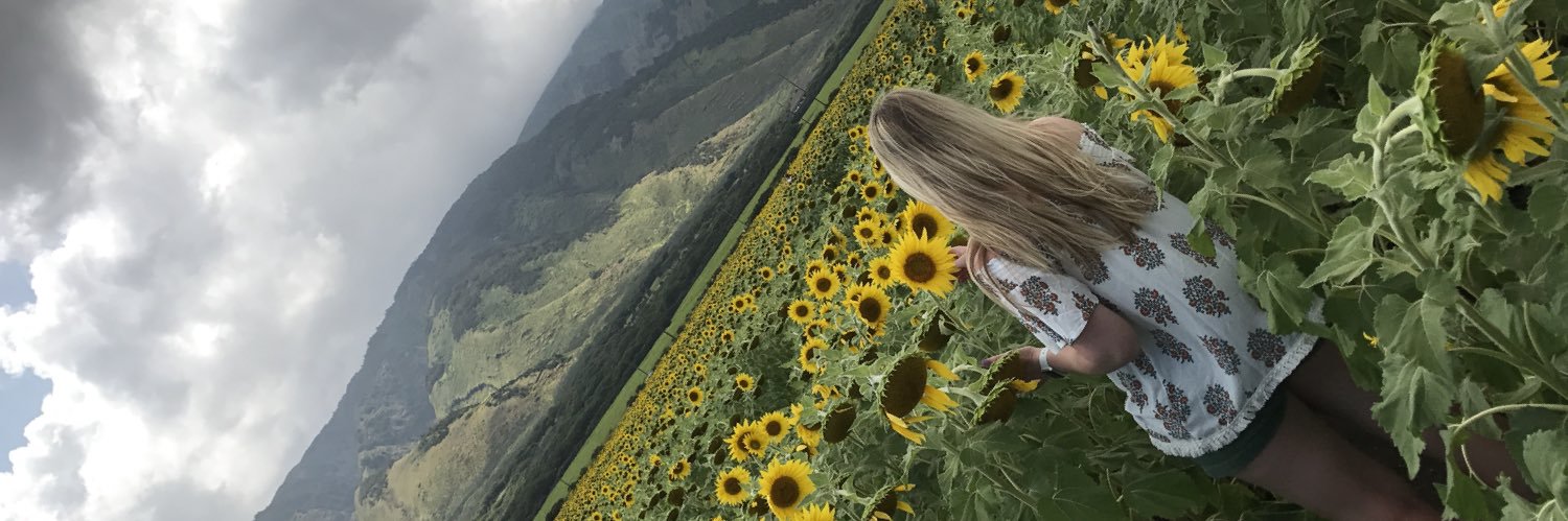 Emily Siemer banner