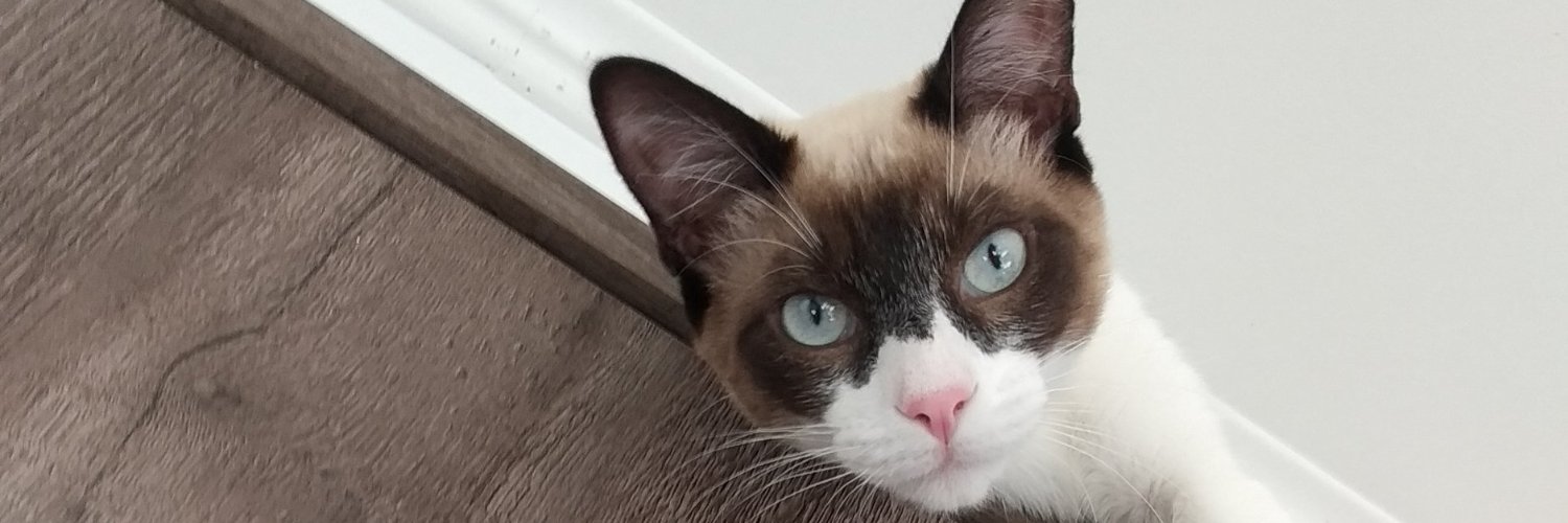 fcazenave_'s profile banner image