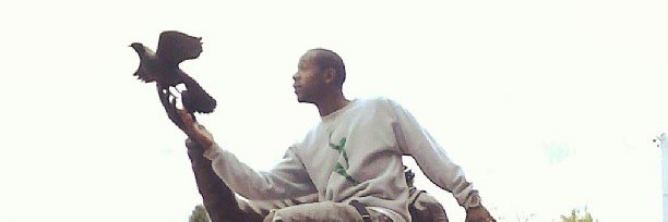 Dr. Marla Evans banner