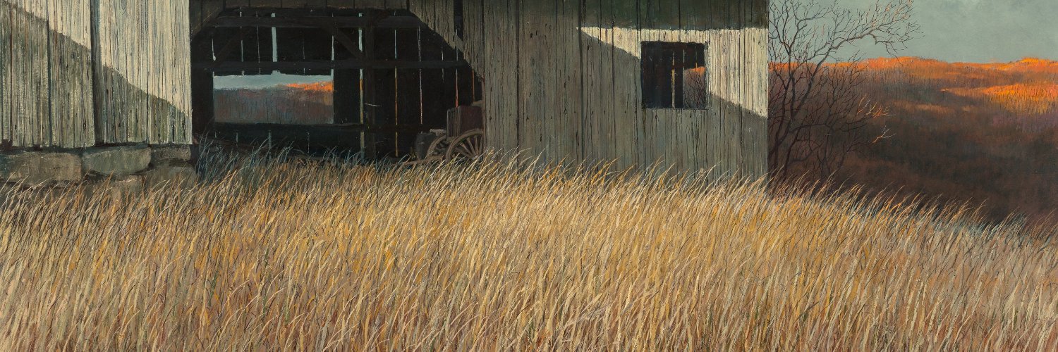 wormyjermy's profile banner image