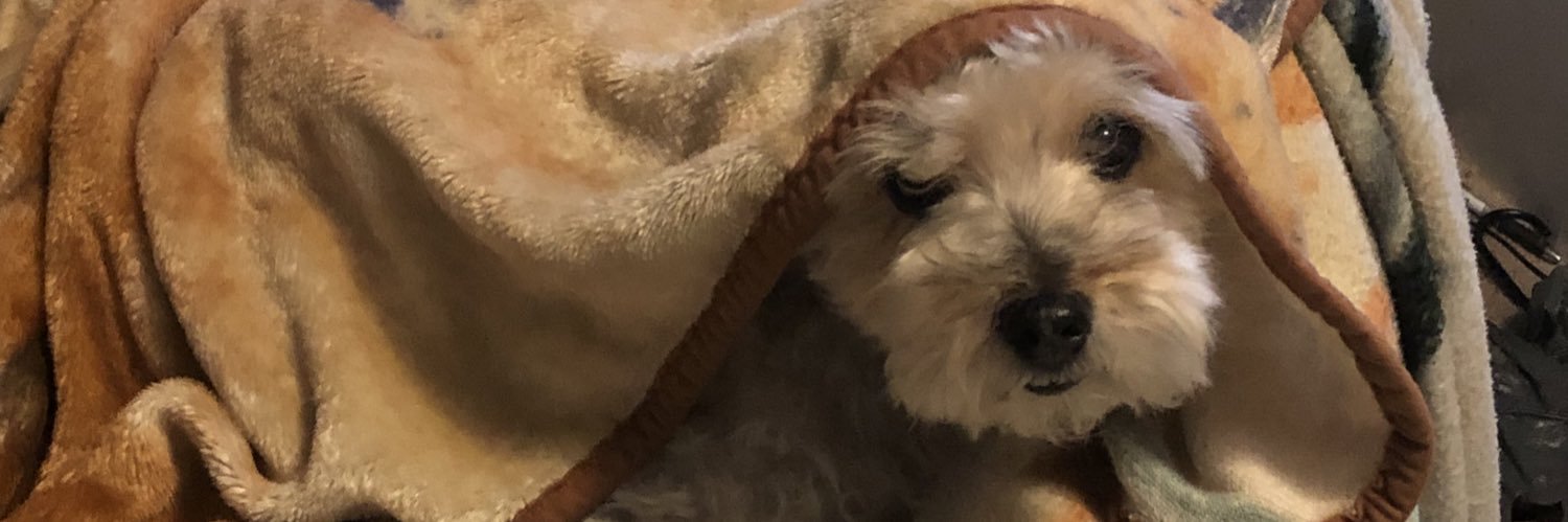 cecibefr's profile banner image