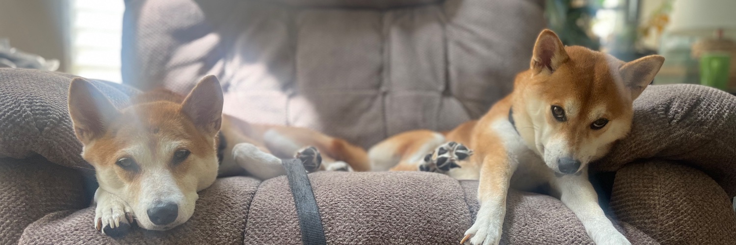 Doge Queen banner