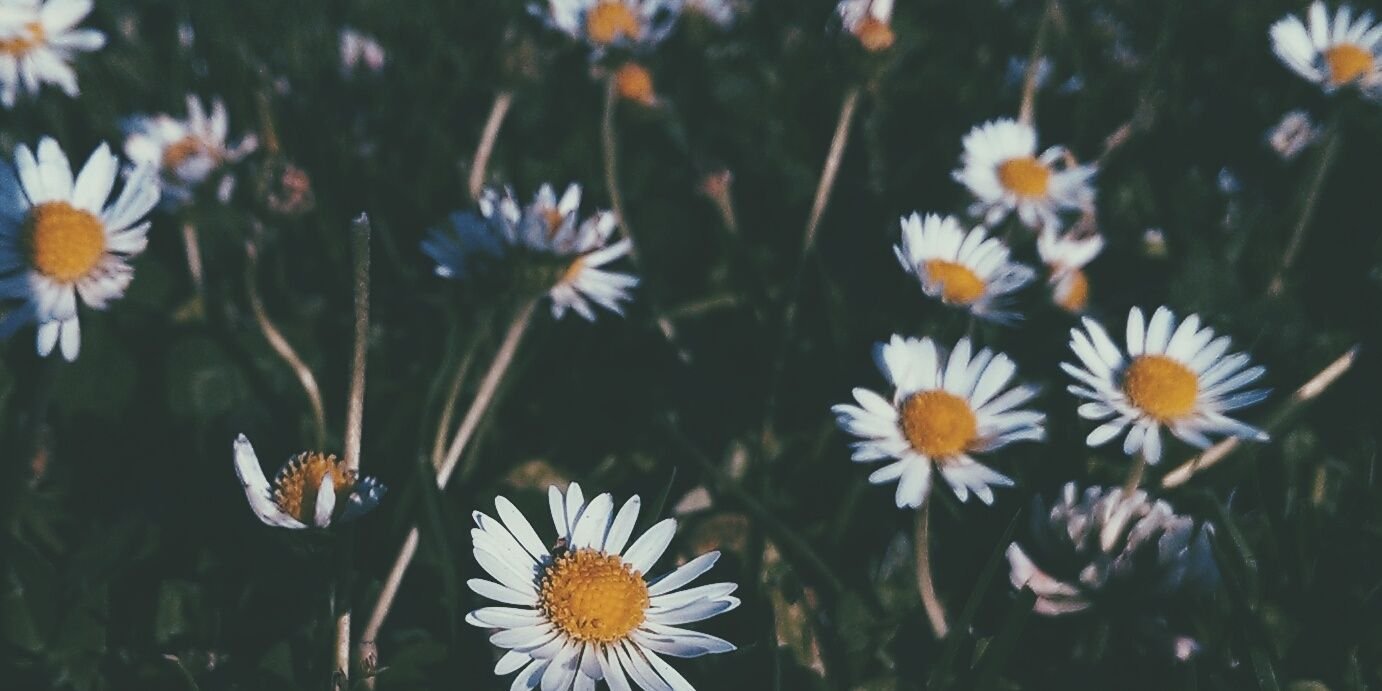 28Lexi's profile banner image