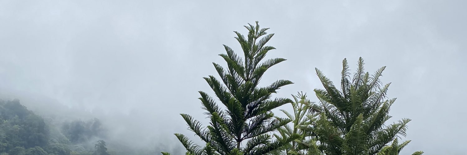 winter flower ❄️ banner