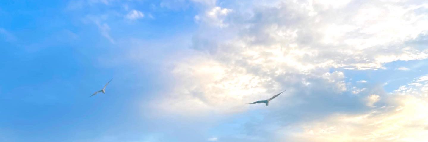 _DarcyCard's profile banner image