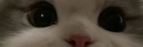 repppppp_'s profile banner image