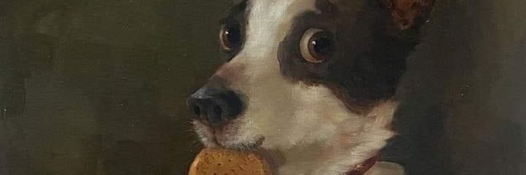 CaptainTheDoge's profile banner image