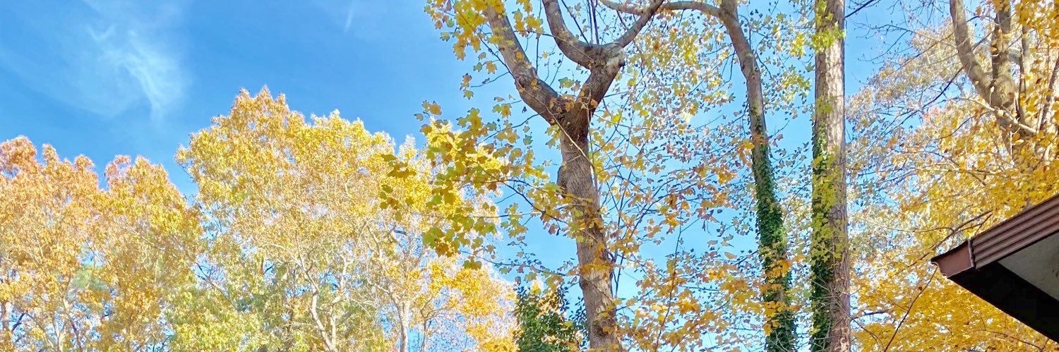 jamessdublinn's profile banner image