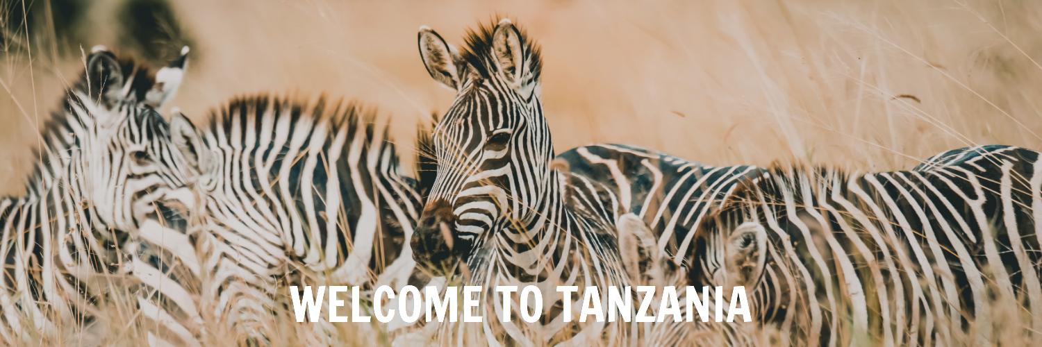 EasyTravelTZ's profile banner image