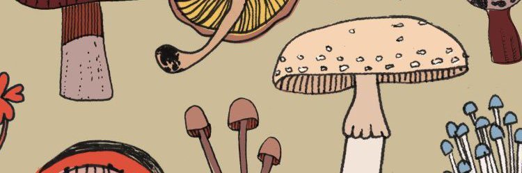 saracuda_'s profile banner image