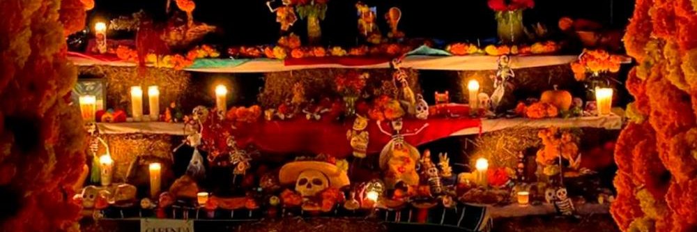poct_cb's profile banner image