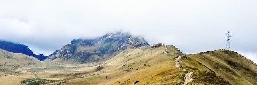 RachelA_Fowler's profile banner image