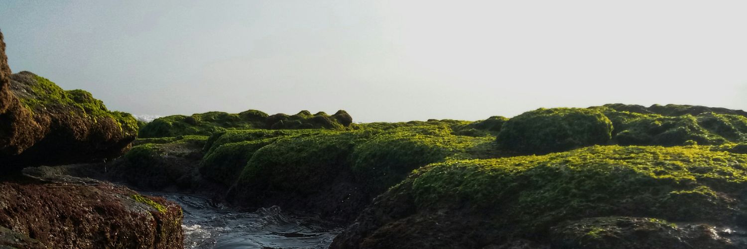 teguhfv's profile banner image