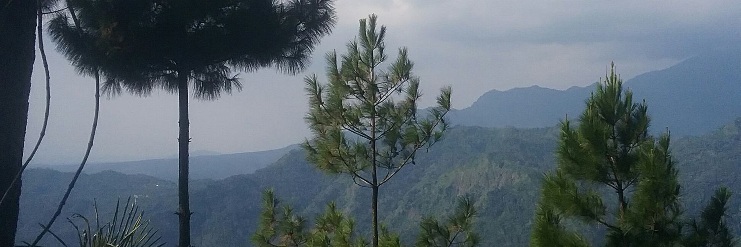 arinanuraini's profile banner image