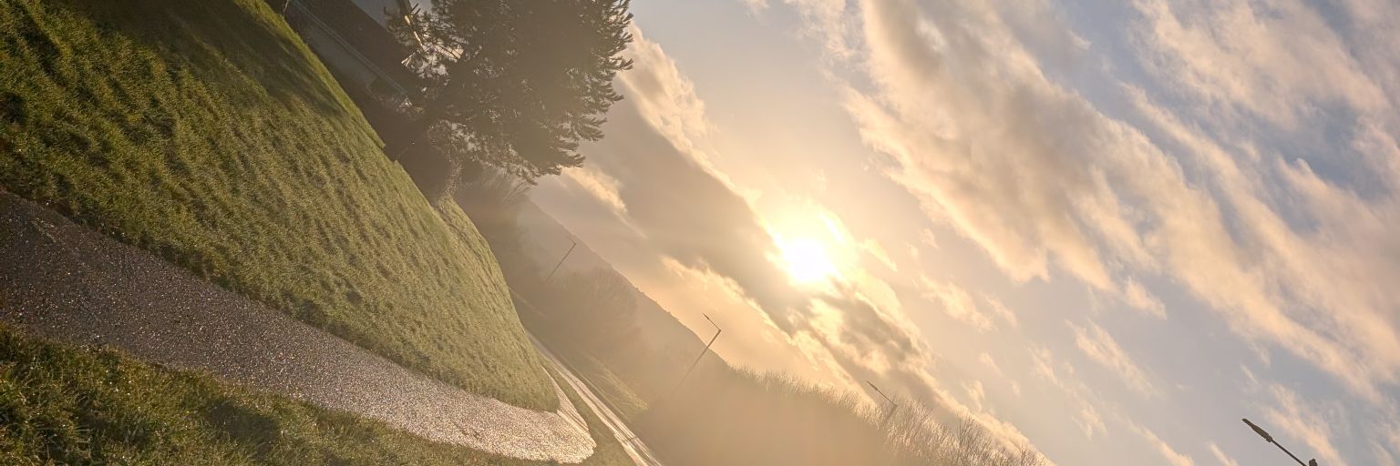 natureheals17's profile banner image