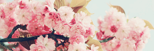 JeanetteChristy's profile banner image