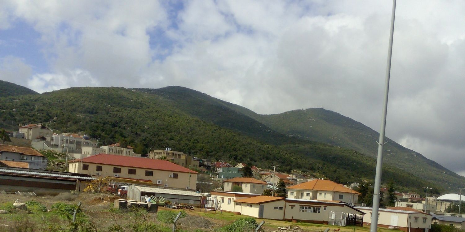 Ольга Левина banner