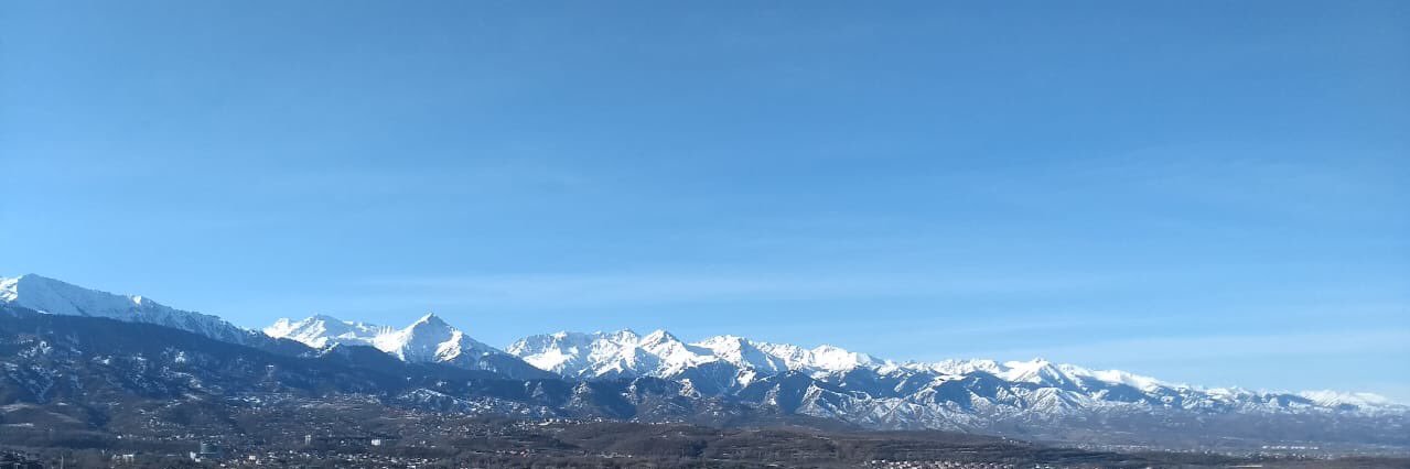 BrightonHelen's profile banner image