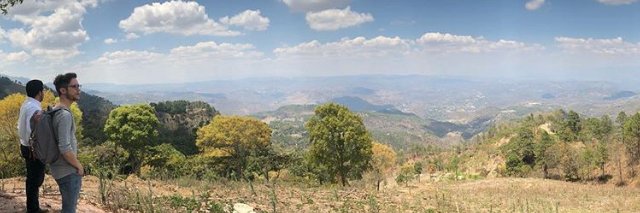 Michael Harwood banner