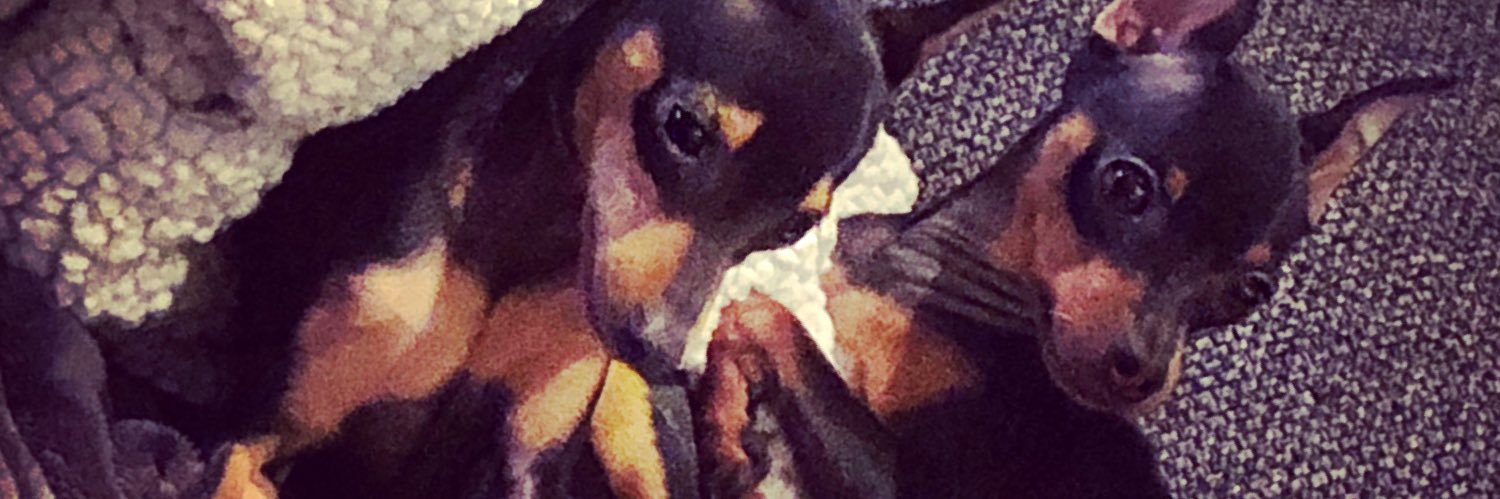 bebeandlolo's profile banner image