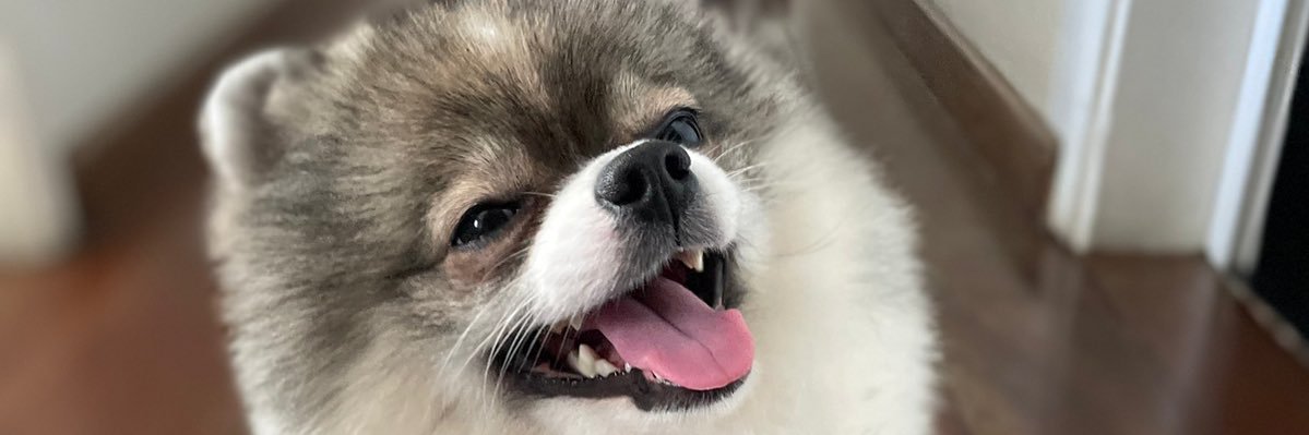 walteracf1's profile banner image