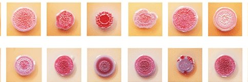 AppEnvMicro journal's banner