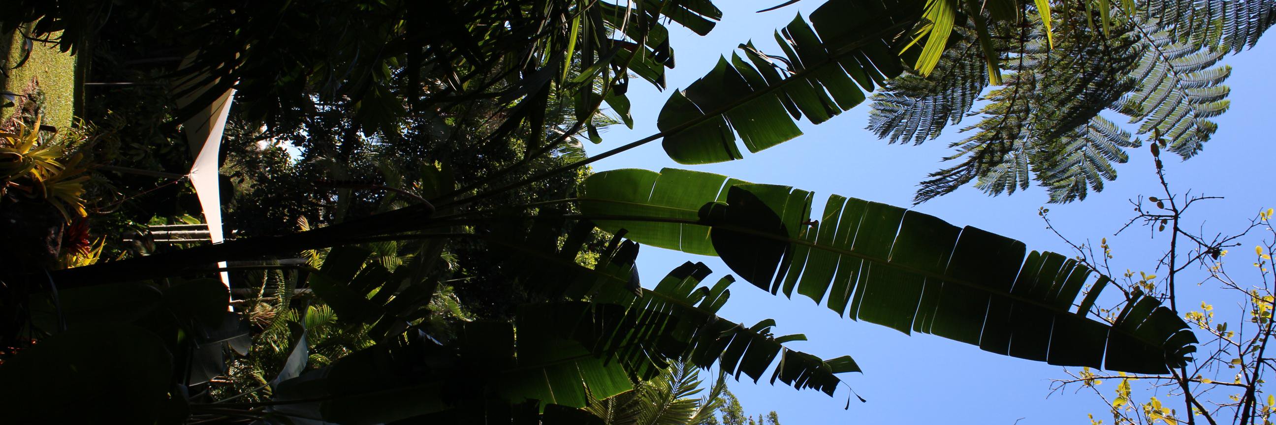 Ellen Osborne banner