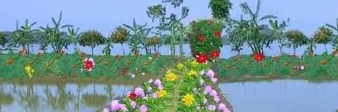 farukp683's profile banner image