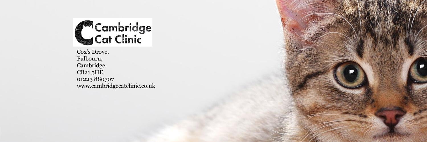 mini_wright's profile banner image