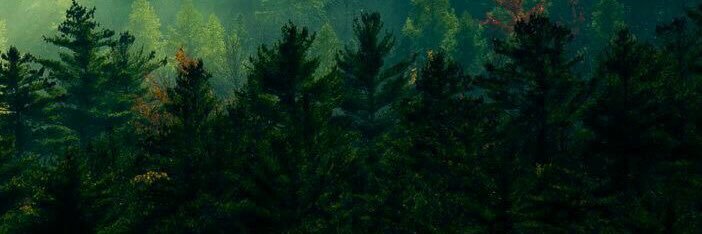 SniggibH's profile banner image