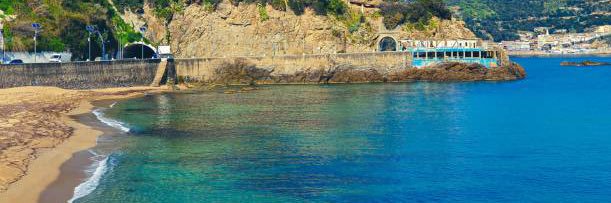 Mohaaaak 🇩🇿🇩🇿🇩🇿 banner