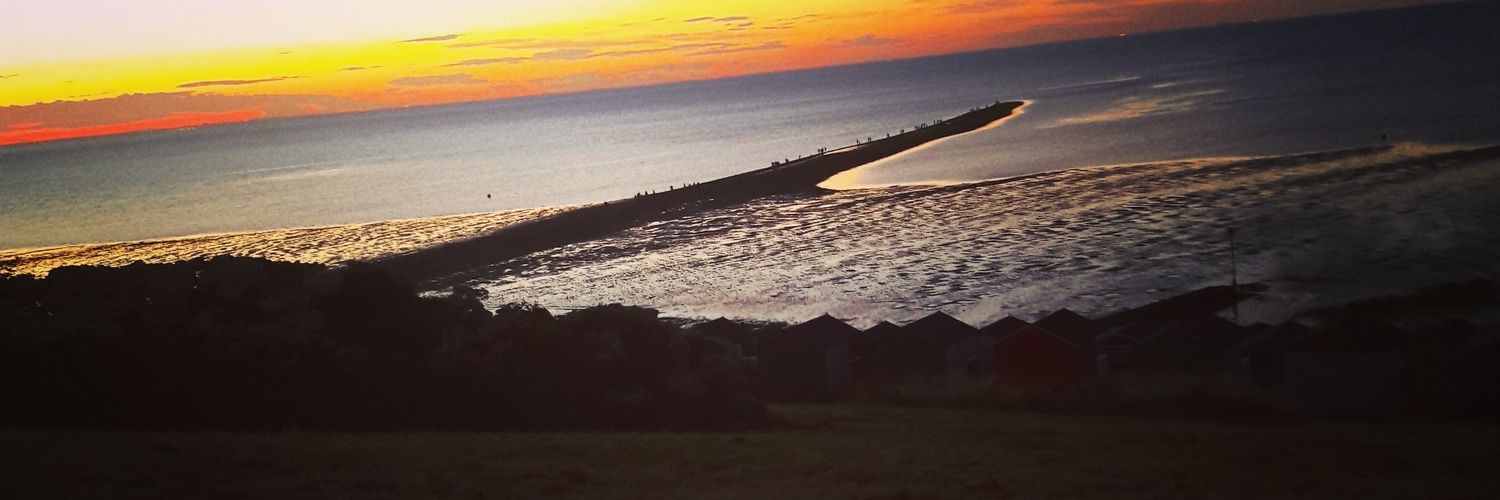 julescarrington's profile banner image