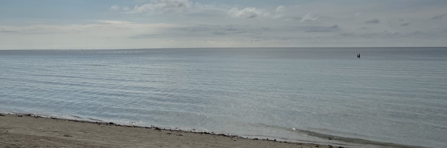 aganacha's profile banner image
