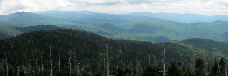 hochjoa's profile banner image