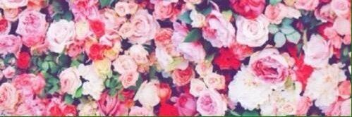 glucksbe2's profile banner image