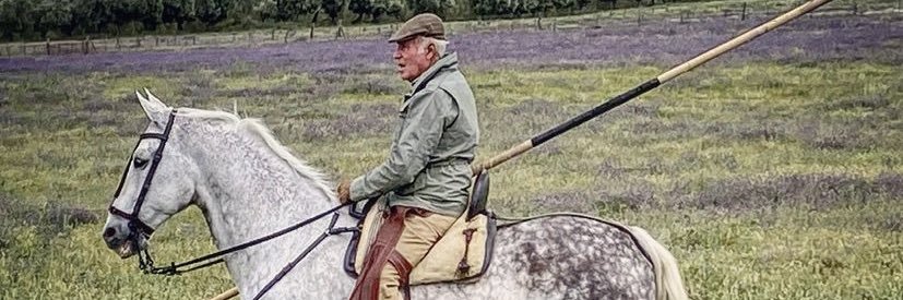 Javier_rr10's profile banner image